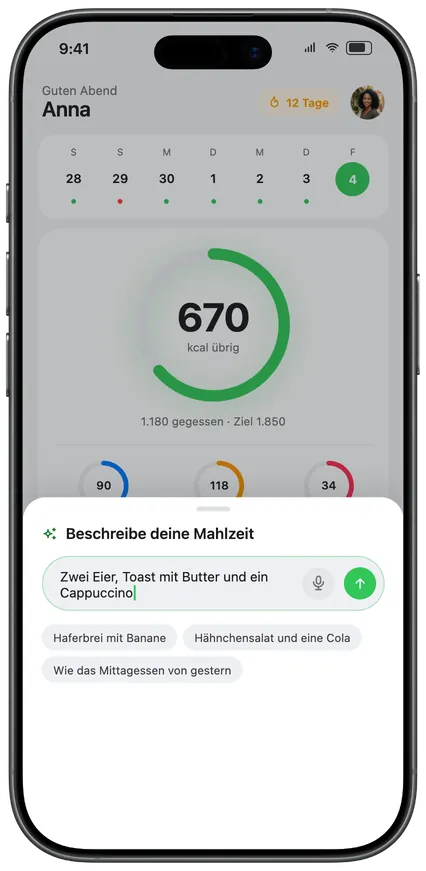 Eine Mahlzeit per Sprache oder Text beschreiben